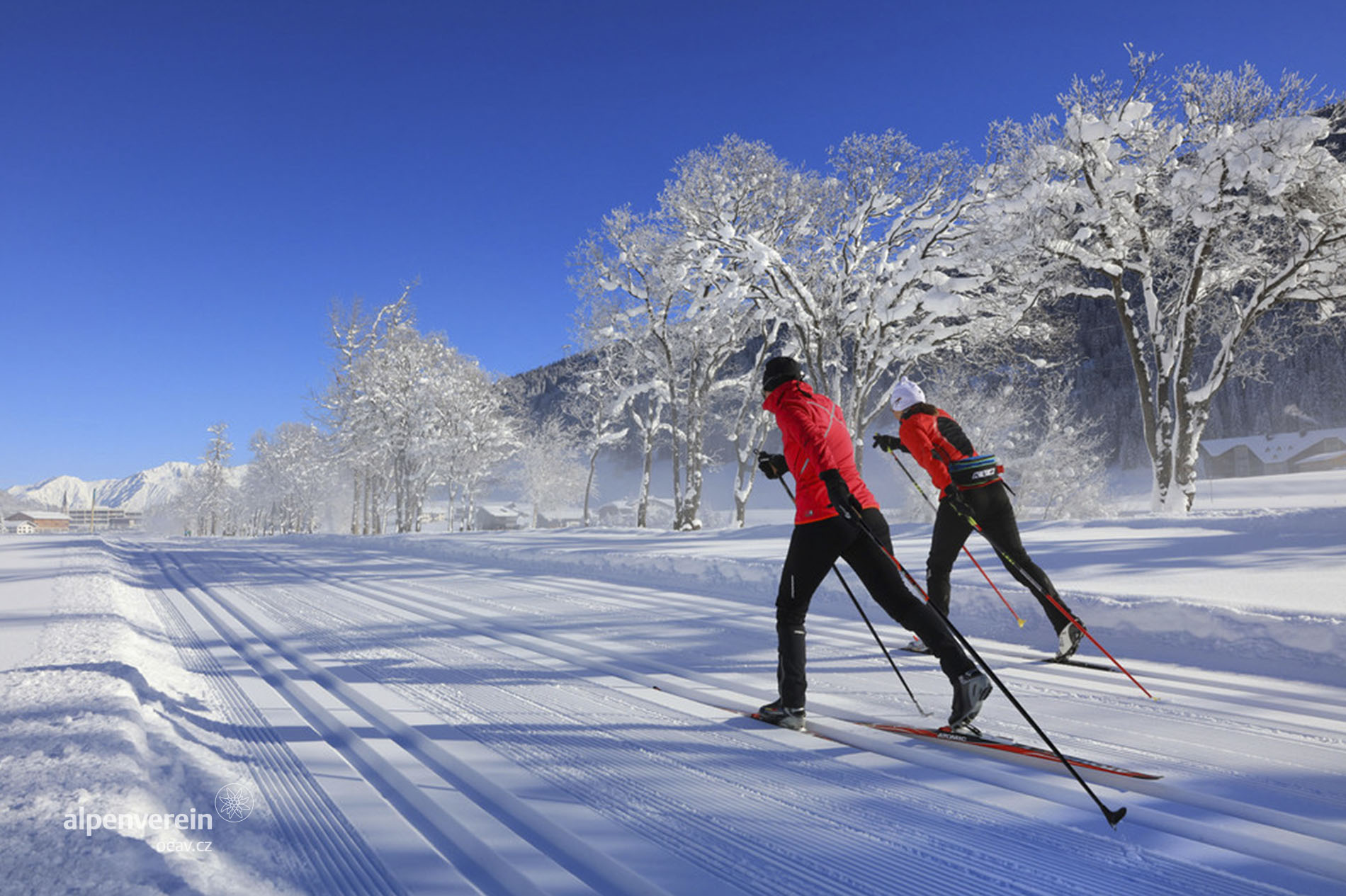 Зимний день и лыжи. Зимний спорт. Лыжный спорт. Зимние лыжи. Лыжники.