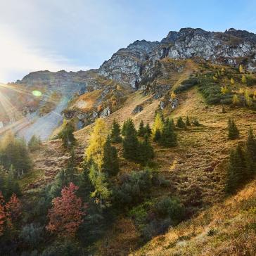 Alpenverein OEAV.CZ Saalbach Hinterglemm Alpenverein OEAV.CZ Saalbach Hinterglemm
