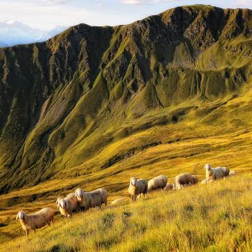 Alpenverein OEAV.CZ Saalbach Hinterglemm Alpenverein OEAV.CZ Saalbach Hinterglemm