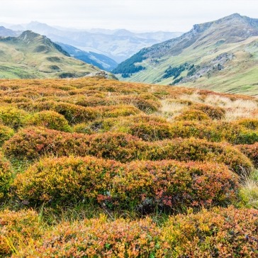 Alpenverein OEAV.CZ Saalbach