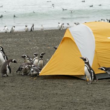 Wild Camping TIPs český cestovatelský projekt