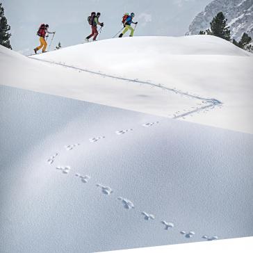 Alpenverein-příroda-skitouring